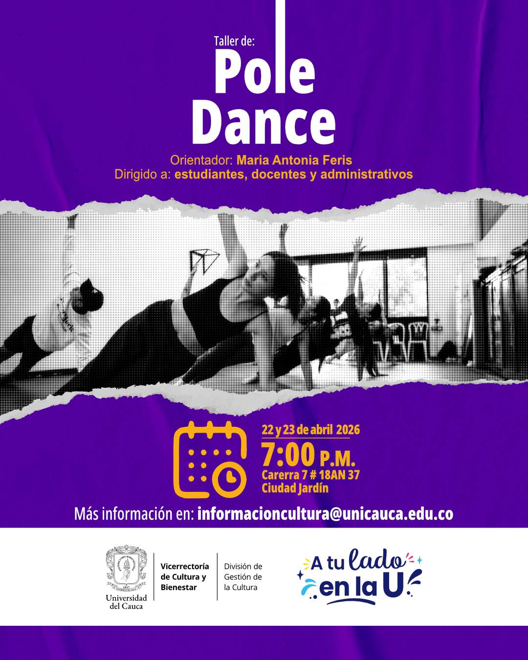 Taller de Pole Dance
