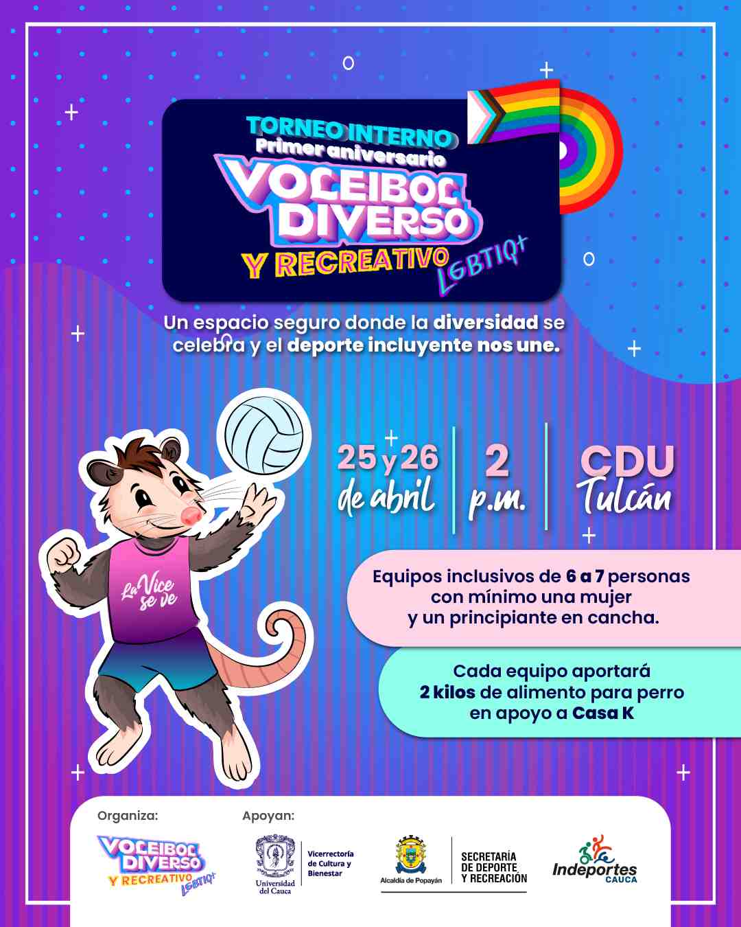 Voleibol Diverso