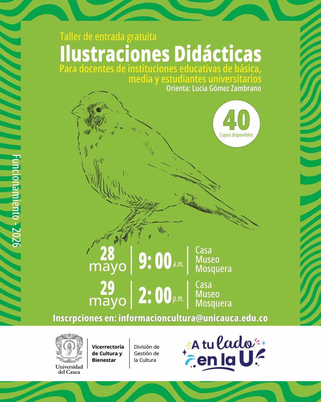 Taller de Ilustraciones Didácticas 