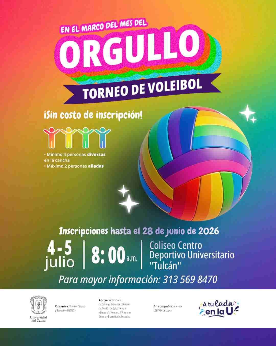 Torneo de Voleibol