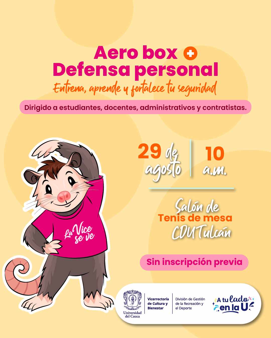 Aero Box + Defensa Personal