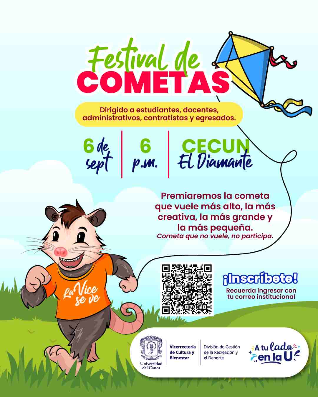 Festival de Cometas