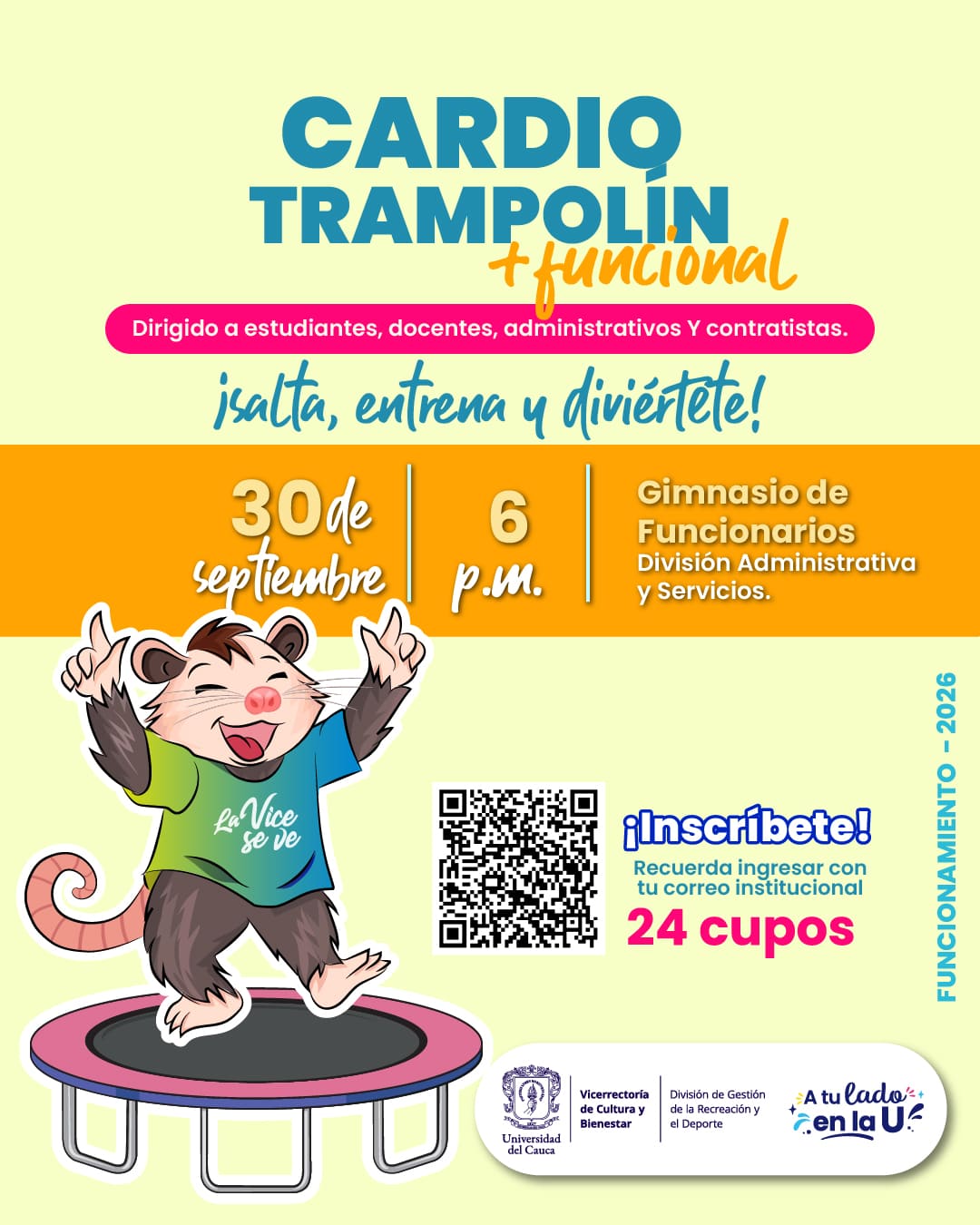 Cardio Tranpolín Funcional