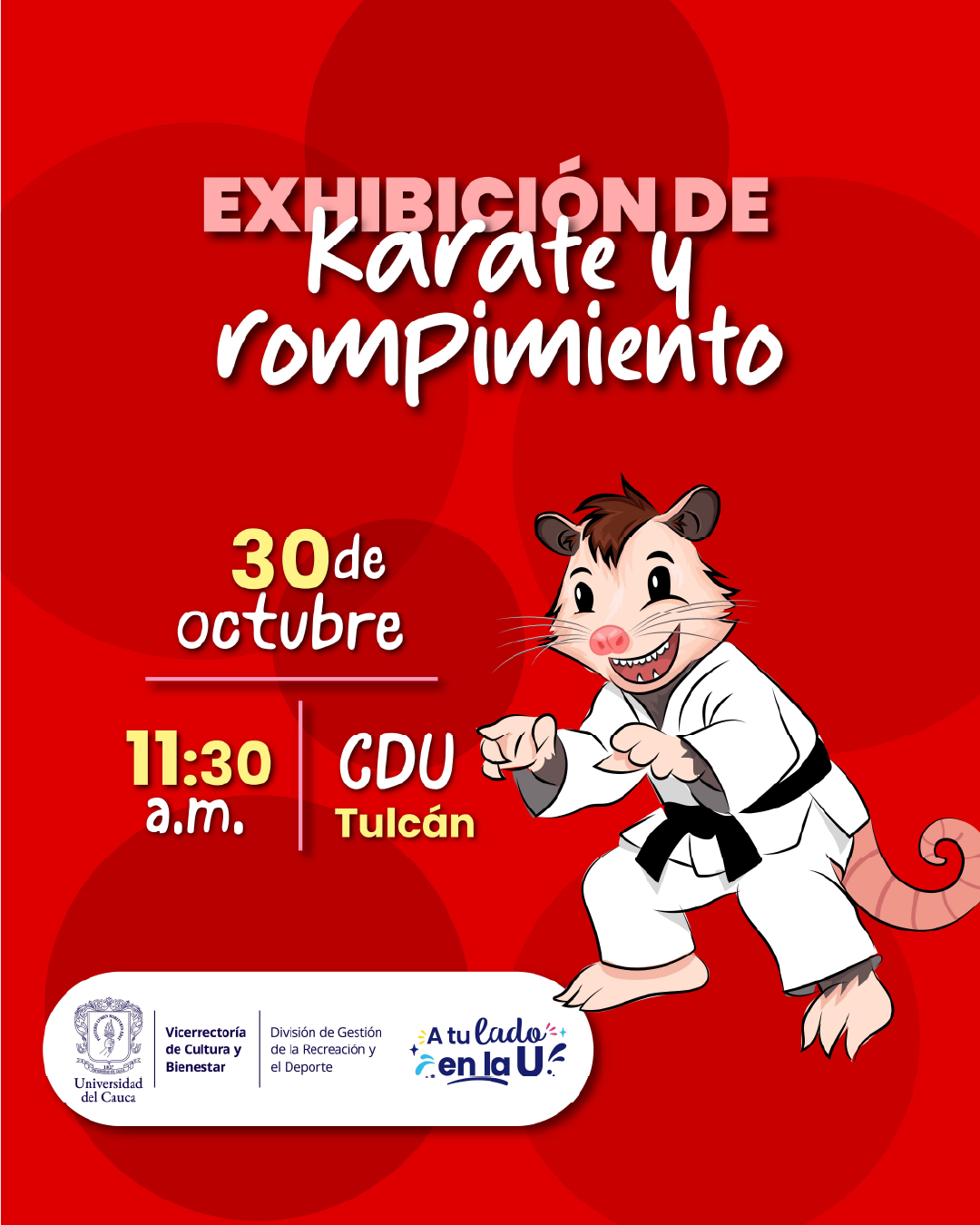 Exhibición de Karate y Rompimiento