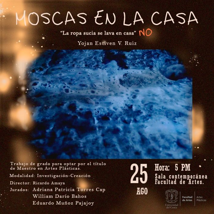 Sustentación del trabajo de grado. Moscas en la casa