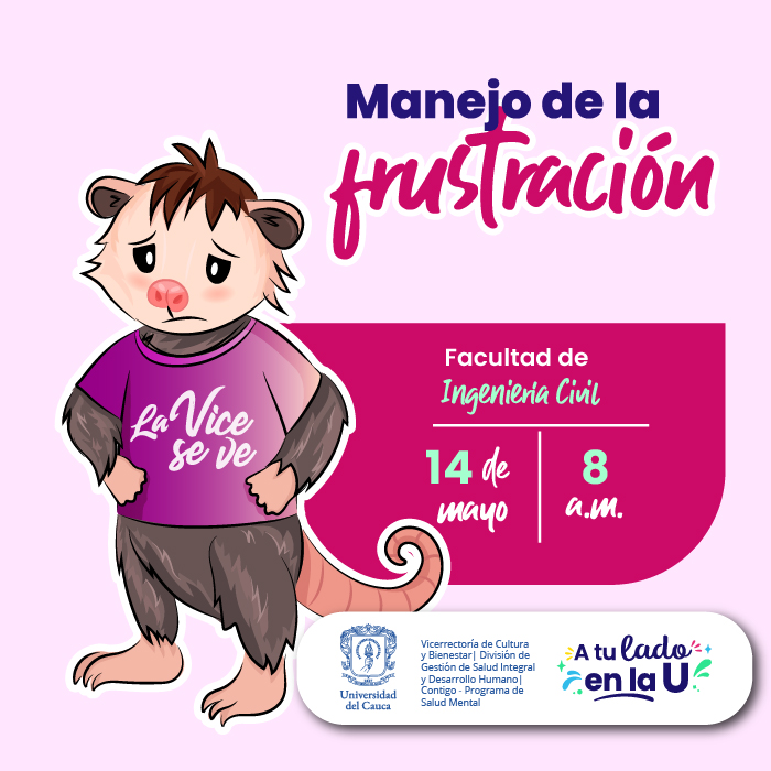 Taller: Manejo de la frustración