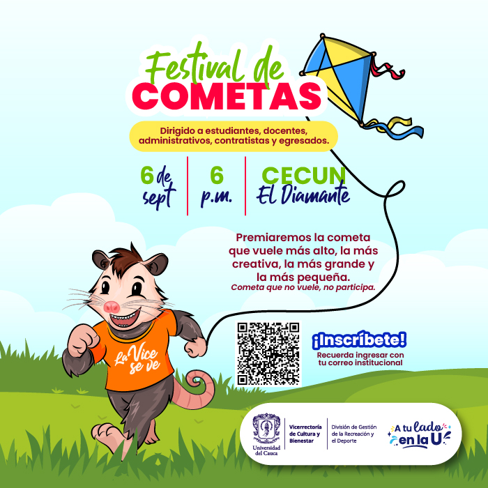 Festival de Cometas