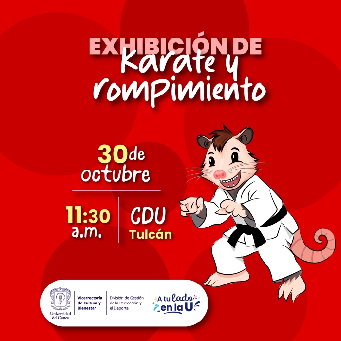 Exhibición de Karate y Rompimiento