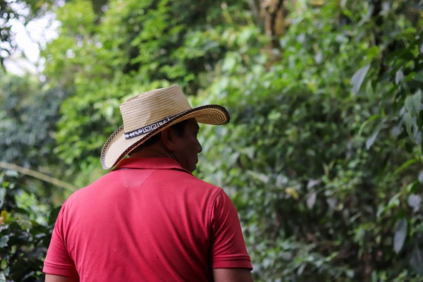 Bosques y Comunidades