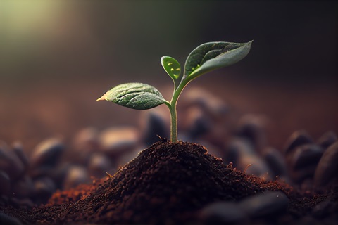 Suelos para una Agricultura Sostenible
