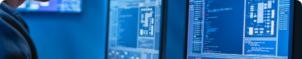 IDIS (Investigación y Desarrollo en Ingeniería del Software)