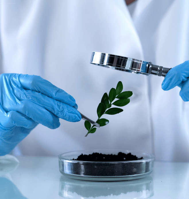 Grupo de Agroquímica