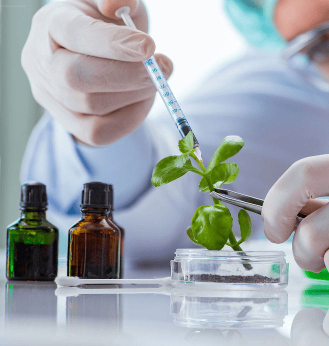 Semillero de Investigación en Procesos Electroquímicos y Separativos-SIPRÉS