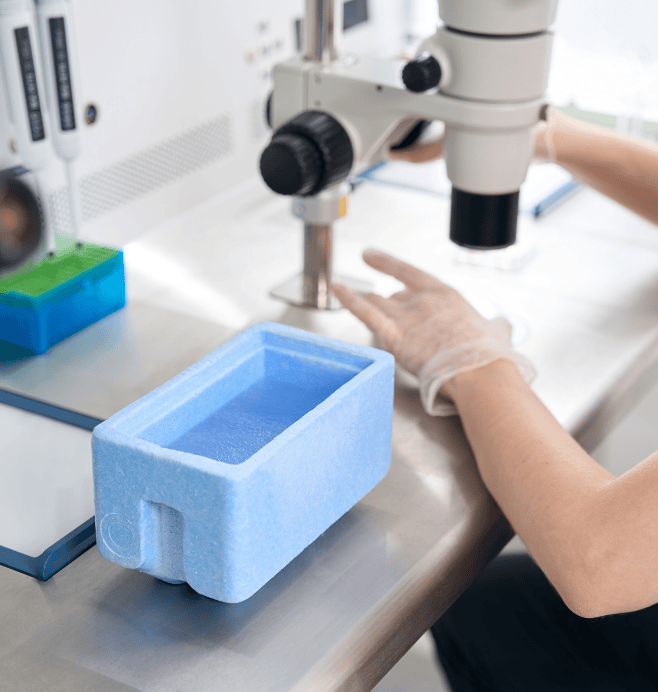 Semillero de Investigación en Síntesis, Procesamiento y Funcionalidad de Los Materiales Cerámicos
