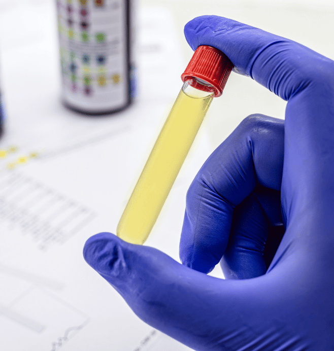 Toxicología Genética y Citogenética