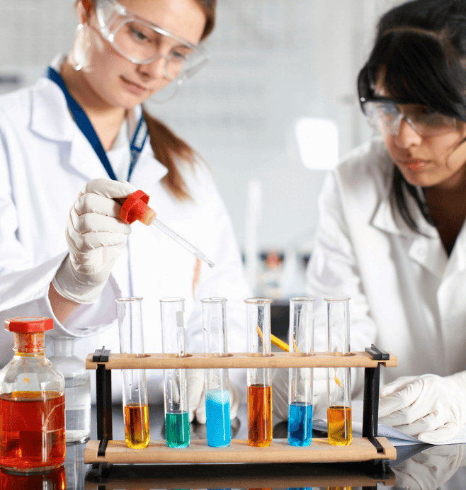 Química de Compuestos Bioactivos (SIQCB)