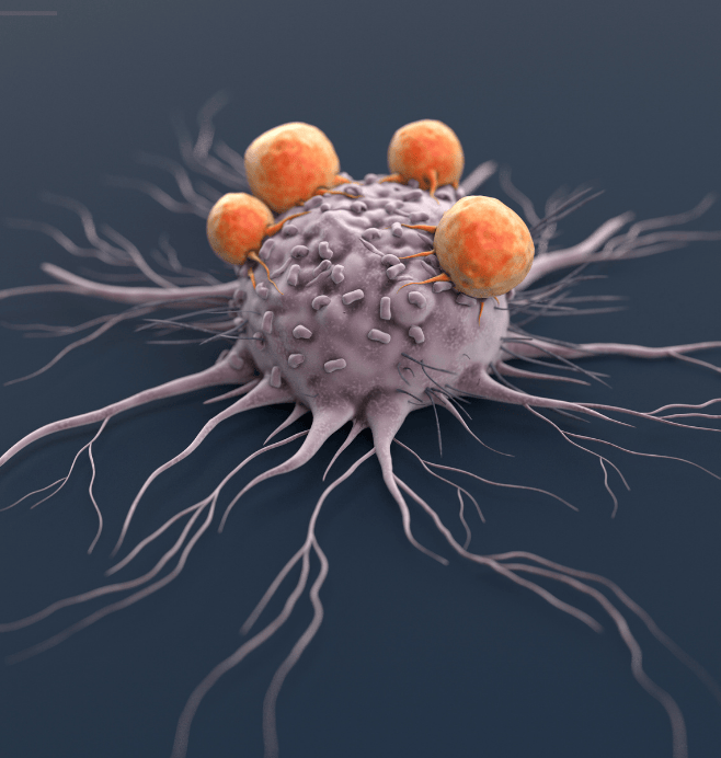 Grupo de Investigación en Inmunología y Enfermedades infecciosas
