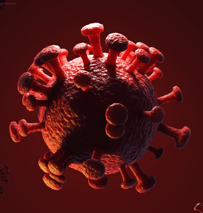 Inmunología y Enfermedades Infecciosas (SYEi)