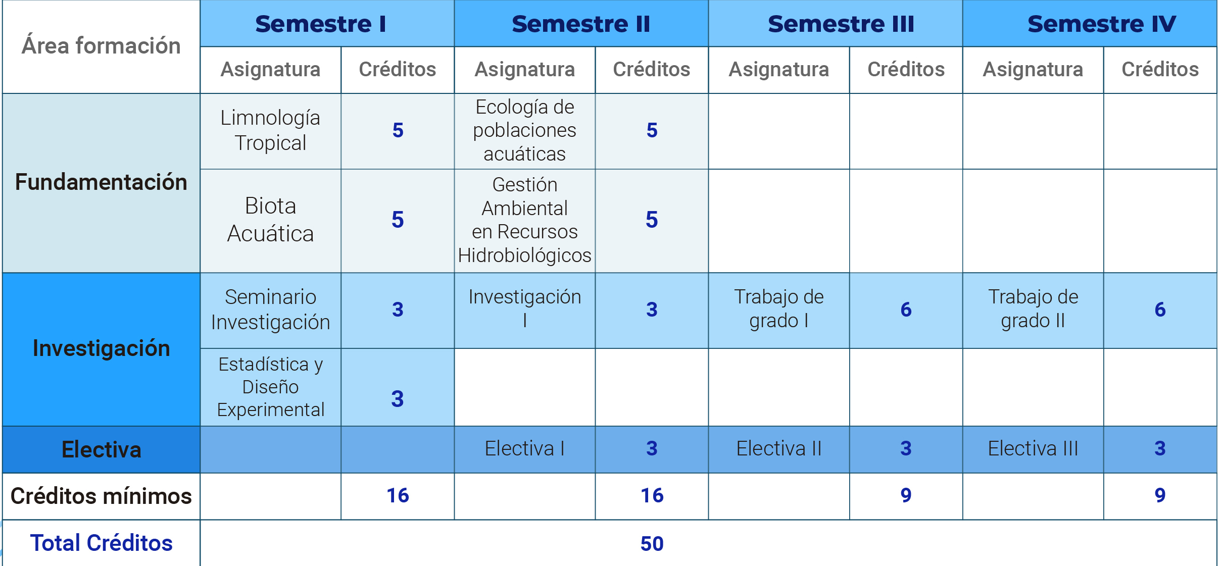 Malla curricular ausente