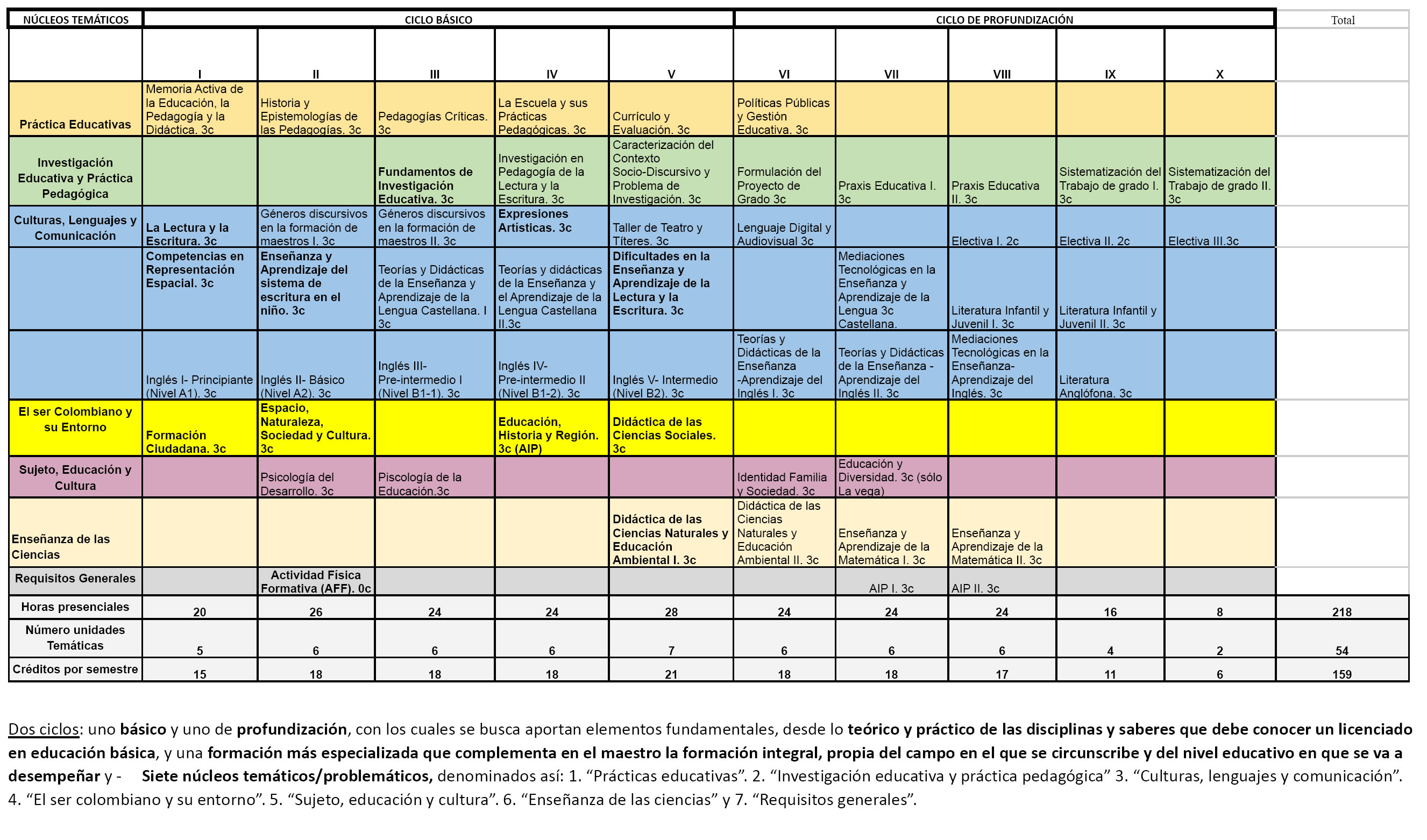 Malla curricular ausente