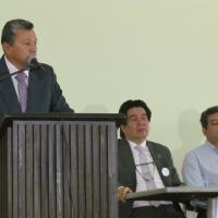 Ver imagen más grande
