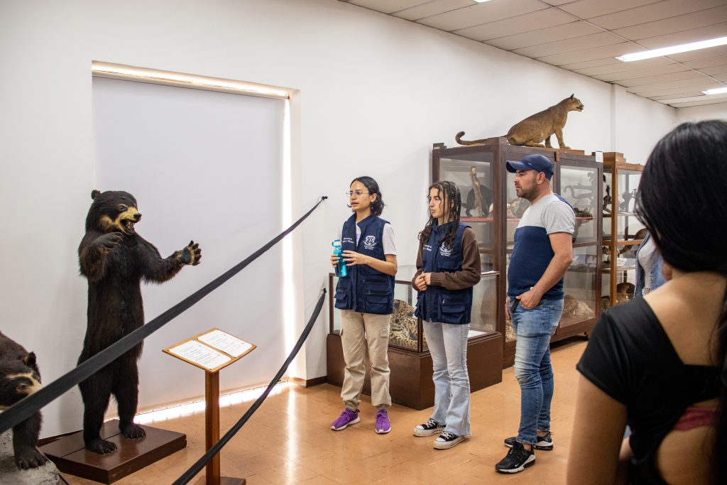 Imagen Museo en Vivo