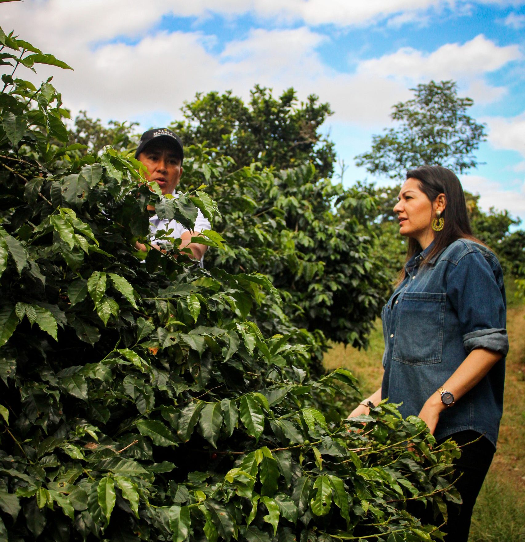 Imagen Agroecología