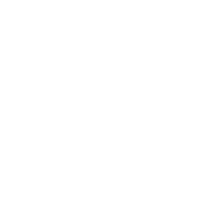 Icono de Metodología del programa