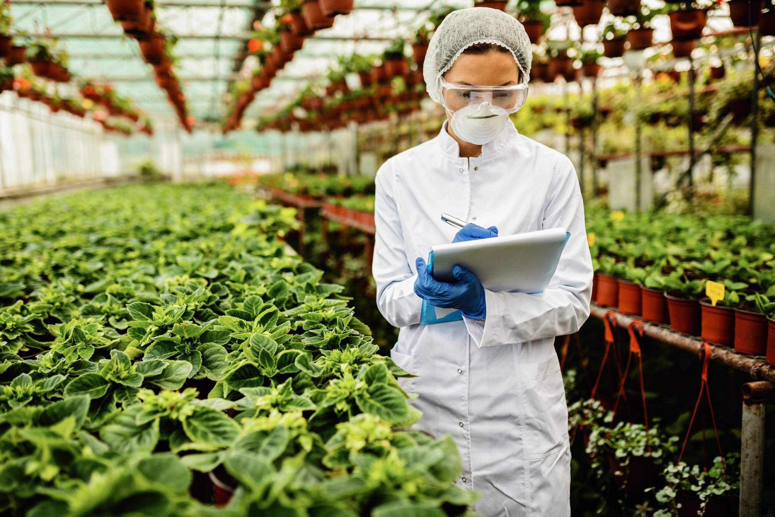 Imagen Ingeniería Agroindustrial Popayán