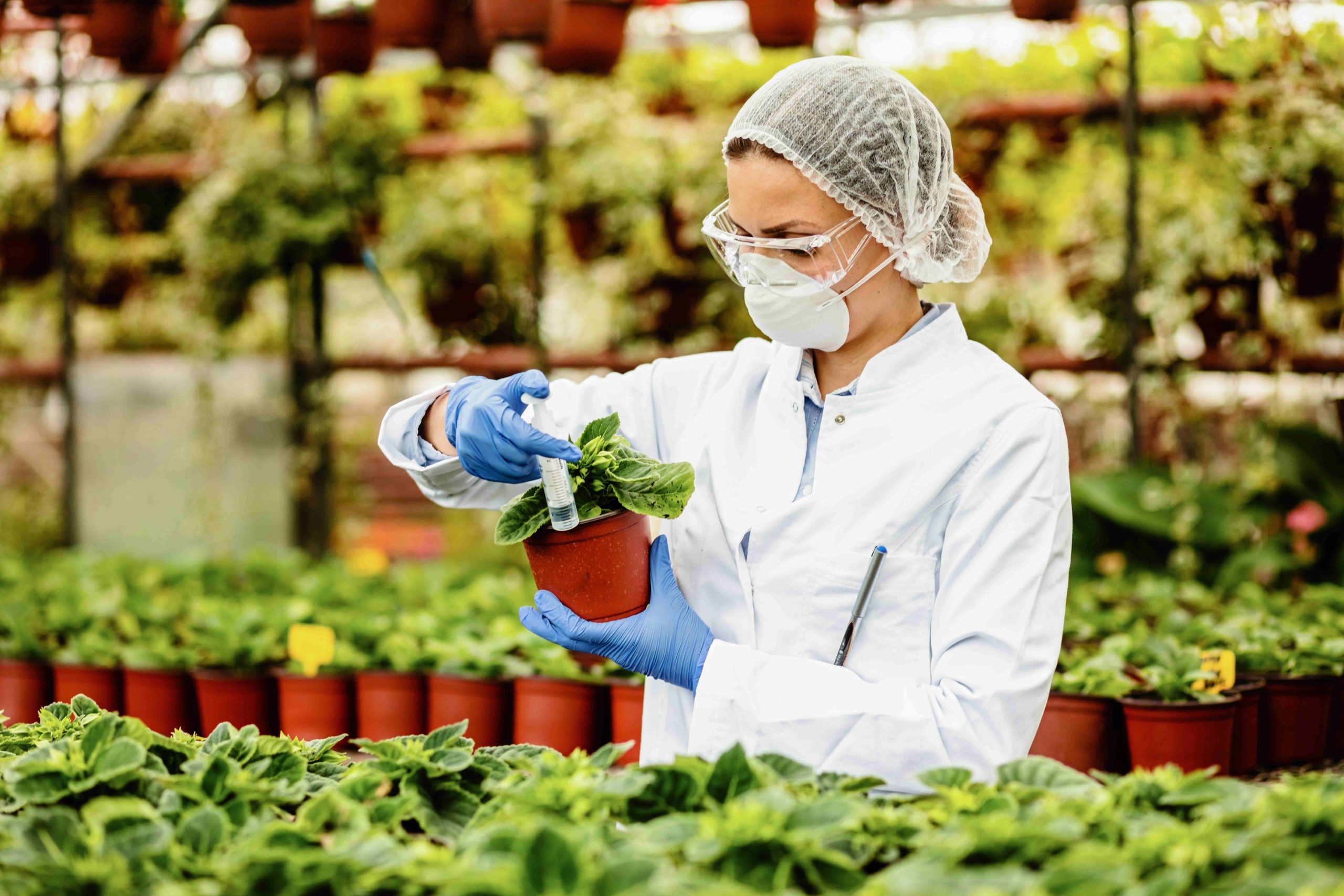 Imagen Ingeniería Agroindustrial Santander