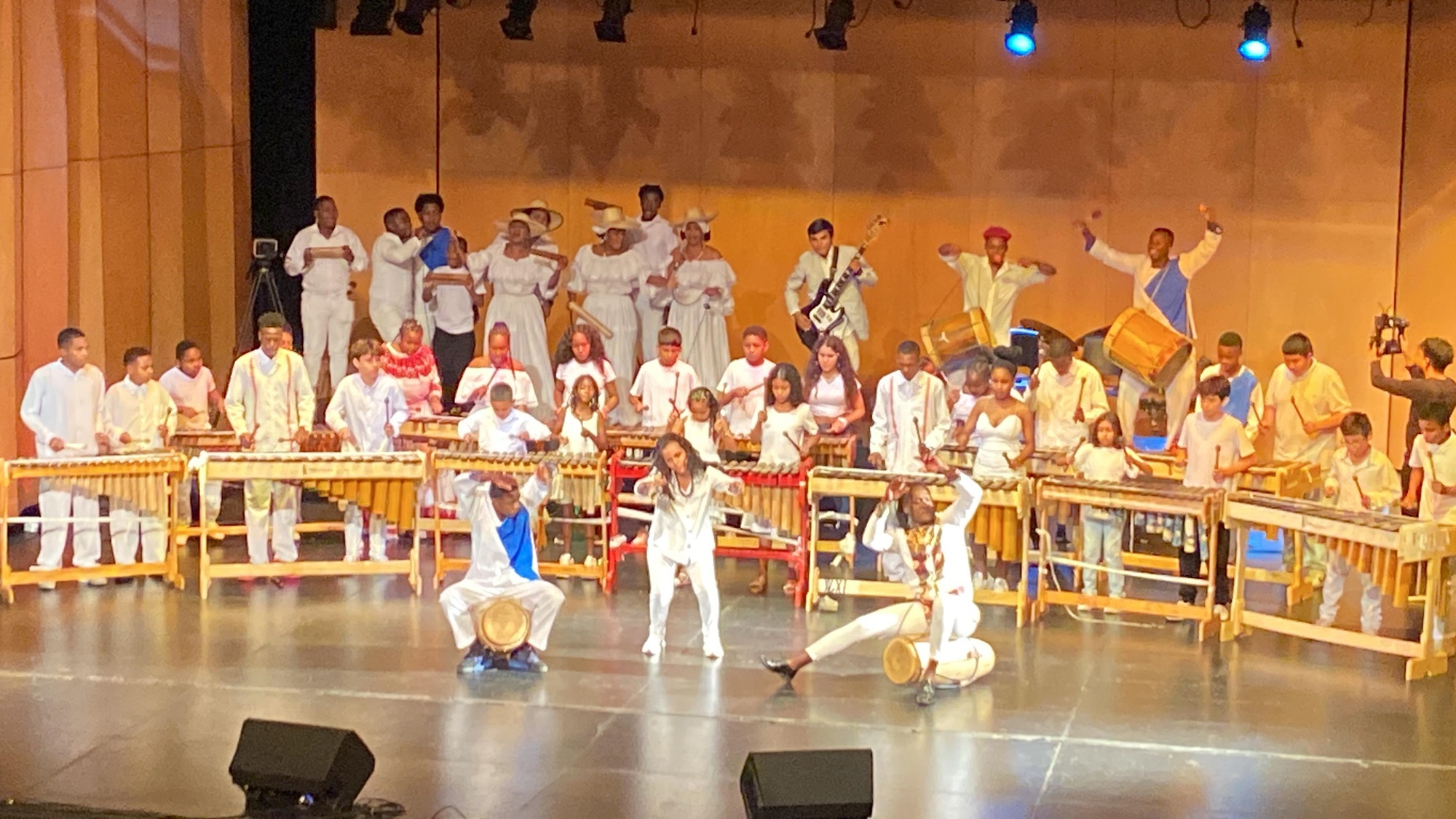 Imagen de concierto Armonías para la Paz