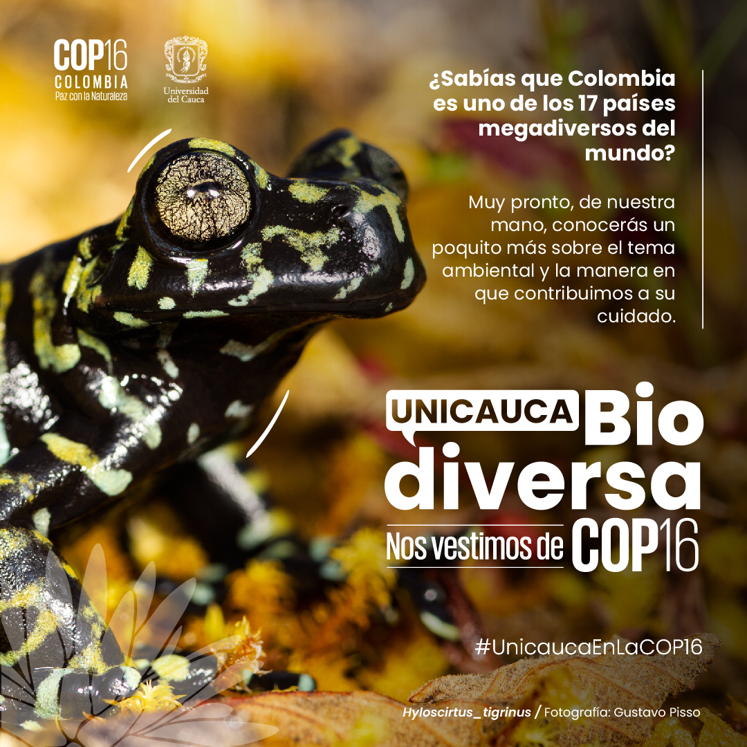 Imagen de Nos vestimos de COP16 porque nuestra casa, ¡es BIODIVERSA!
