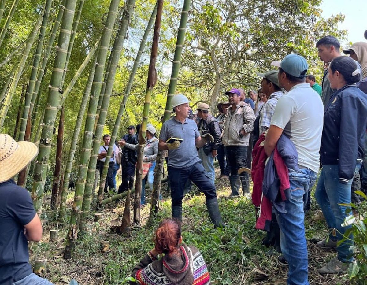 Imagen de Entidad Prestadora del Servicio de Extensión Agropecuaria (EPSEA)