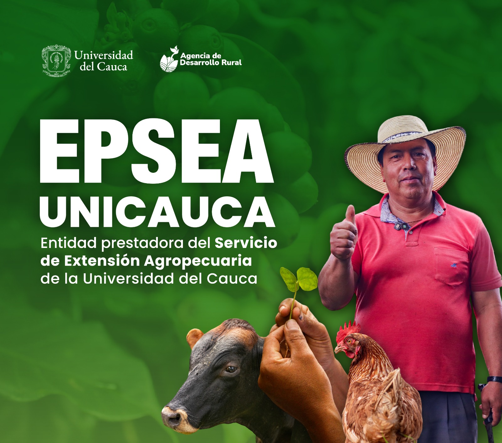 Imagen de Entidad Prestadora del Servicio de Extensión Agropecuaria (EPSEA)