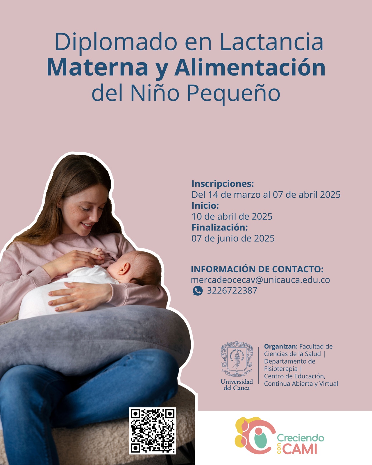 Imagen de Diplomado en Lactancia Materna y Alimentación del Niño Pequeño