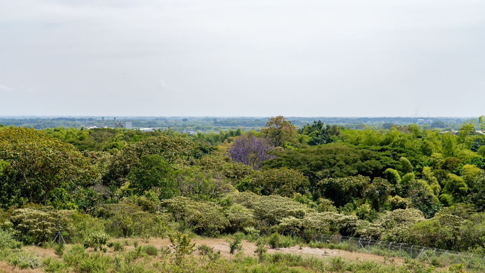 Agroecología