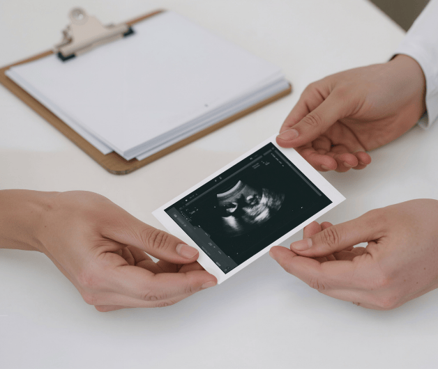Obstetricia