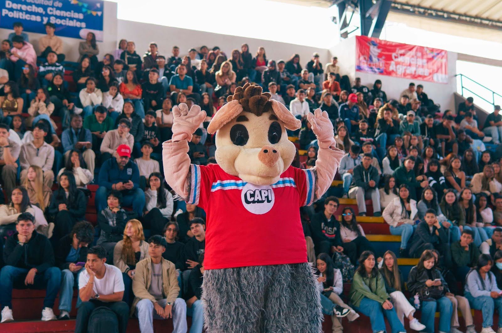 Imagen Bienvenida de Primíparos