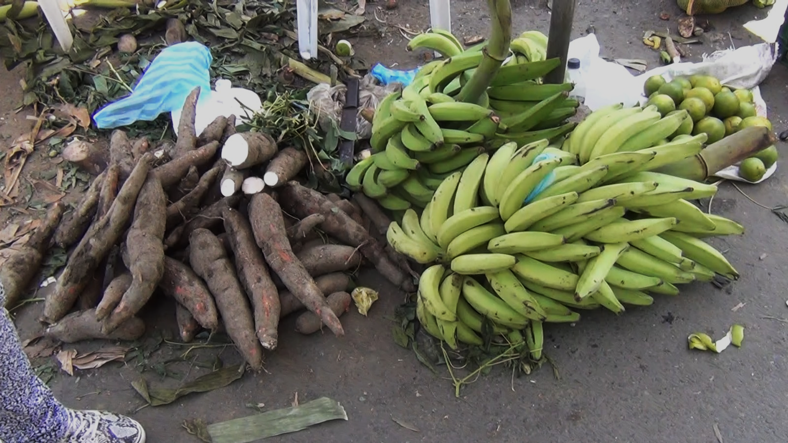 Imagen Feria Agroecológica