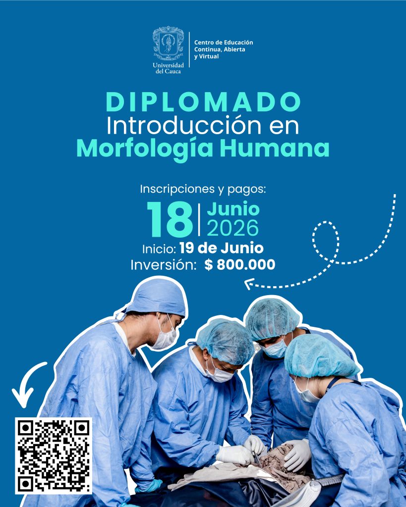 Imagen Flayer Diplomado