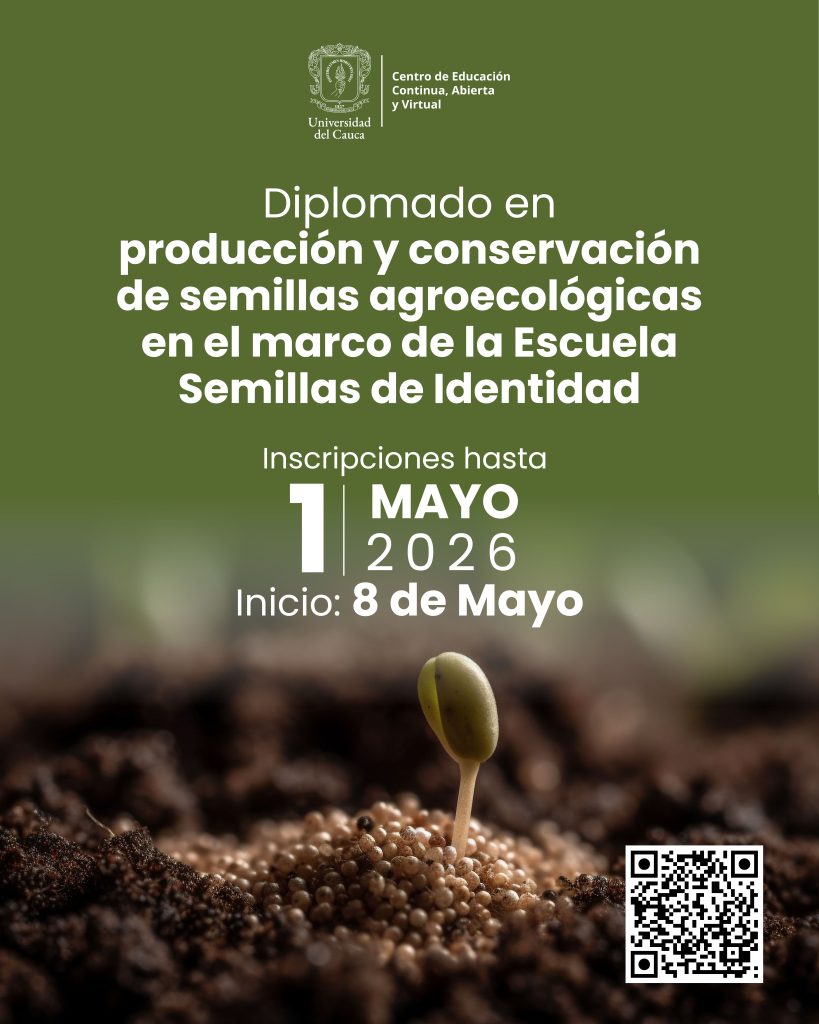 Imagen Flayer diplomado