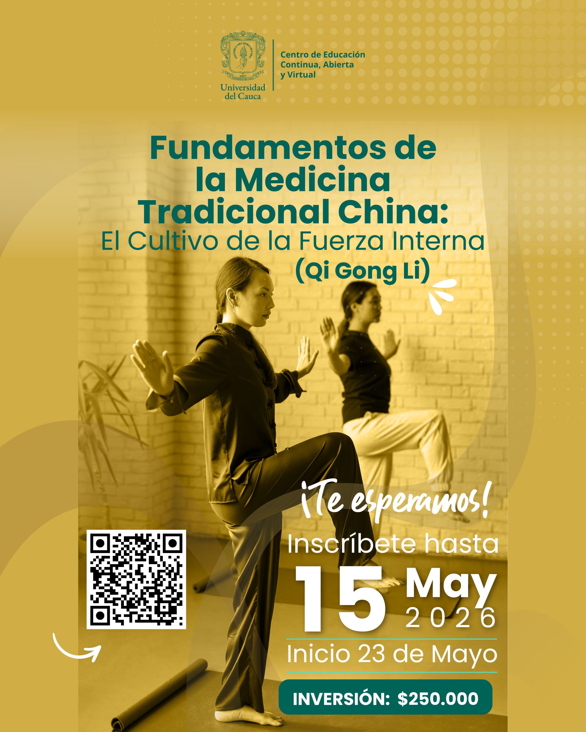 Imagen Flayer Qi Gong li