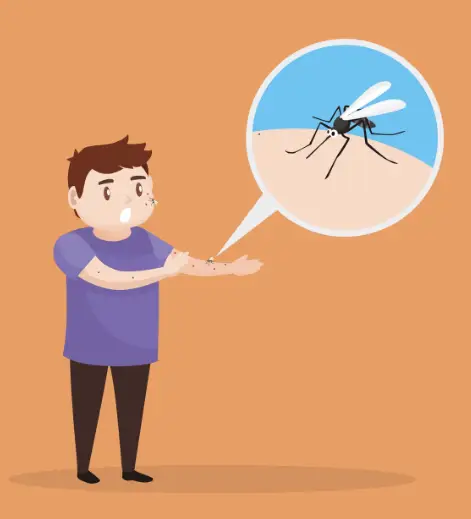 Imagen de Dengue