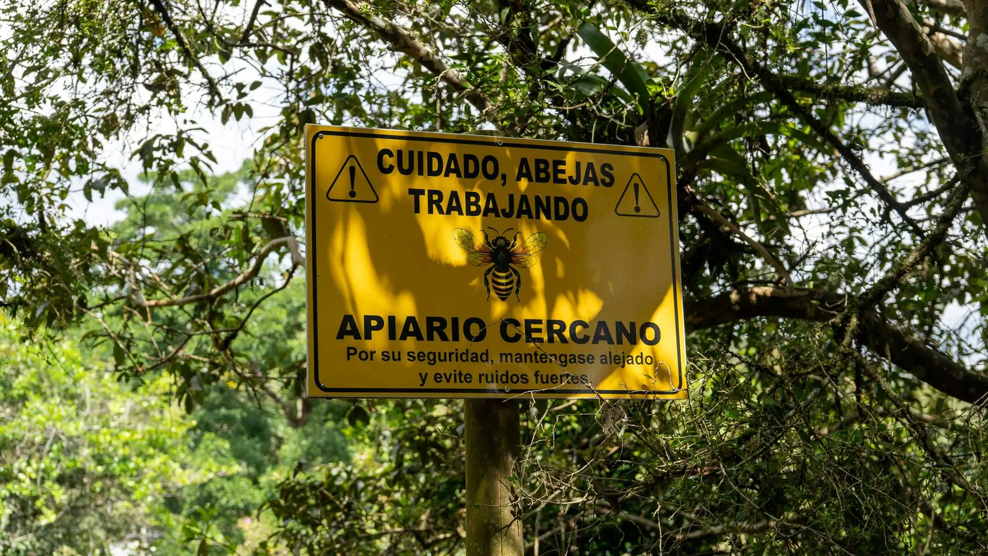 Imagen Señal Apiario Tulcán