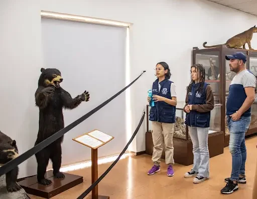 Imagen Museo de Historia Natural