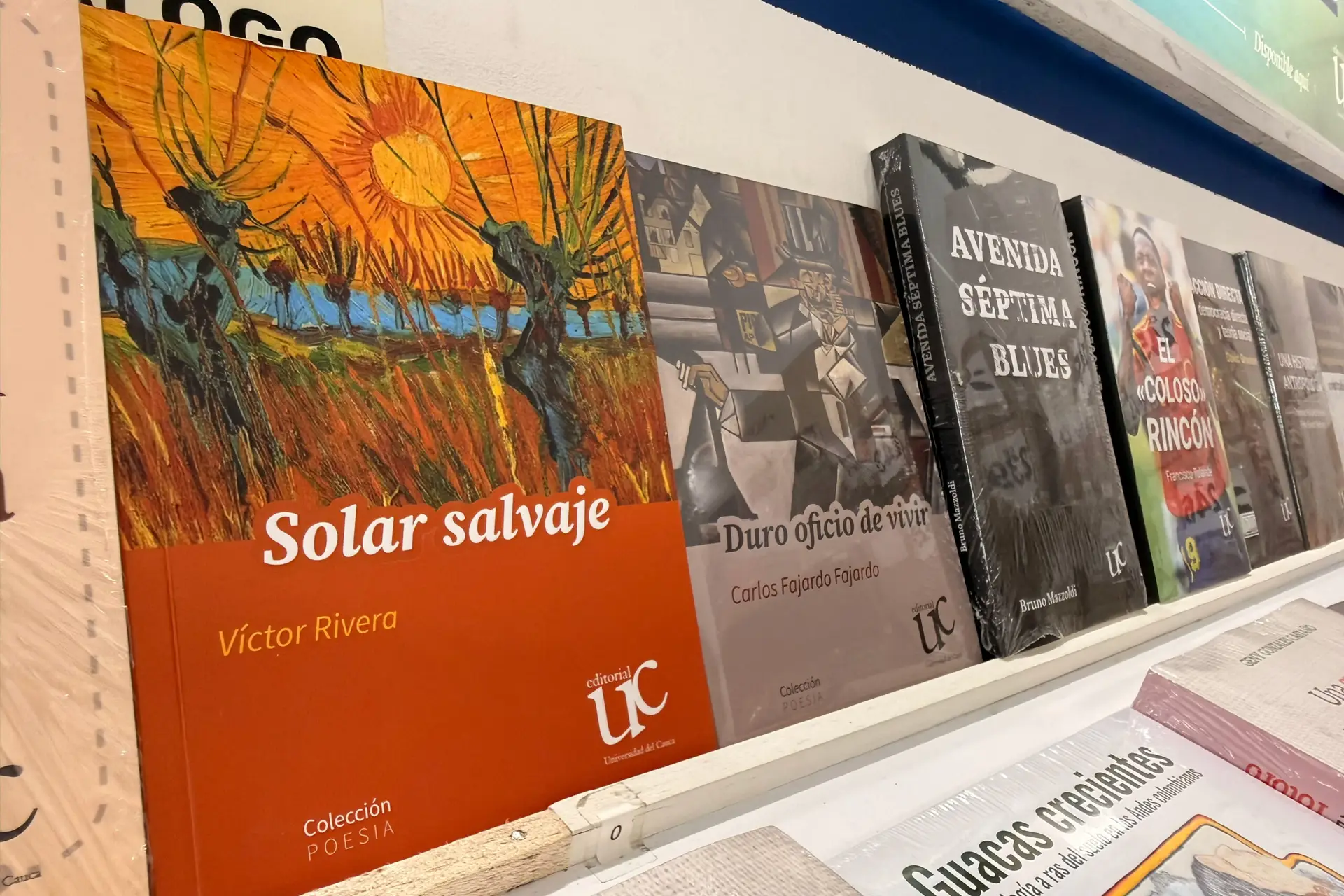 Imagen de libros de colección general de la Editorial Unicauca