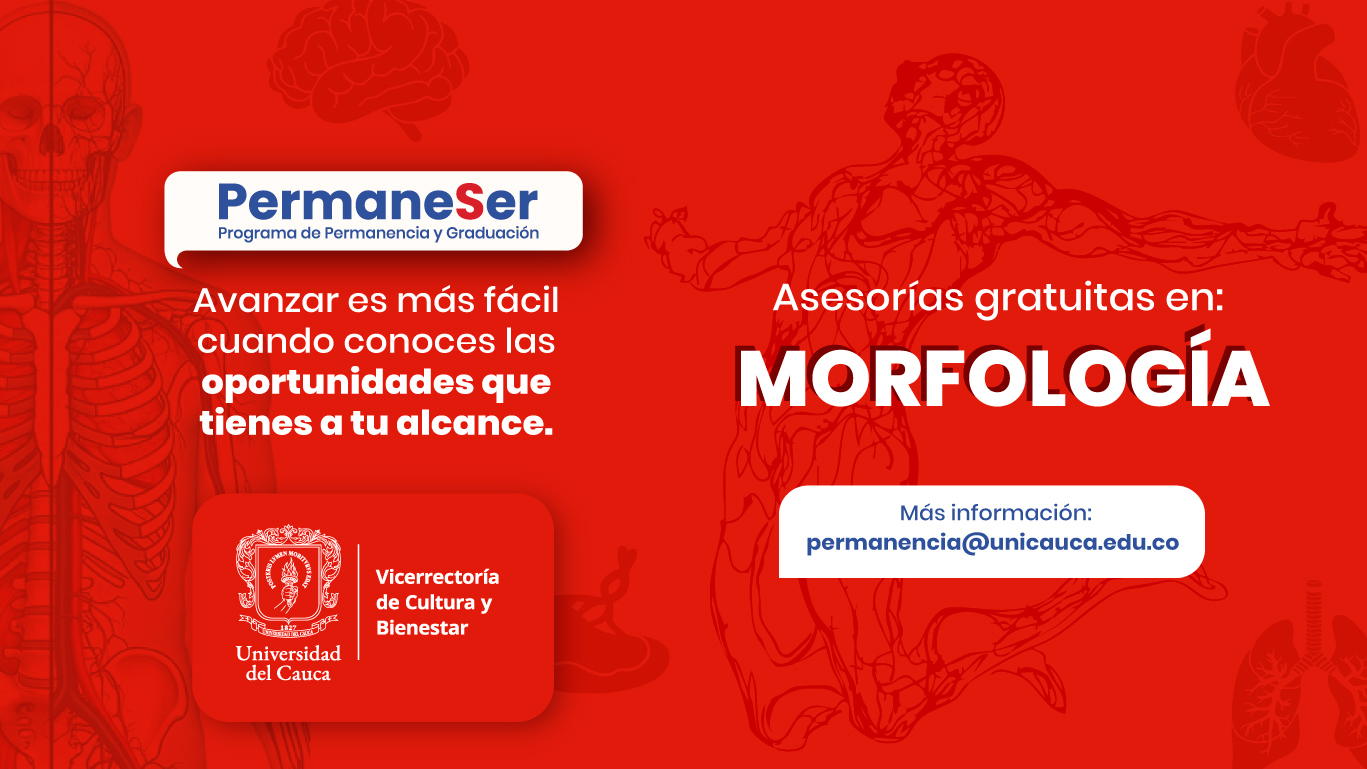 PermaneSer Morfología