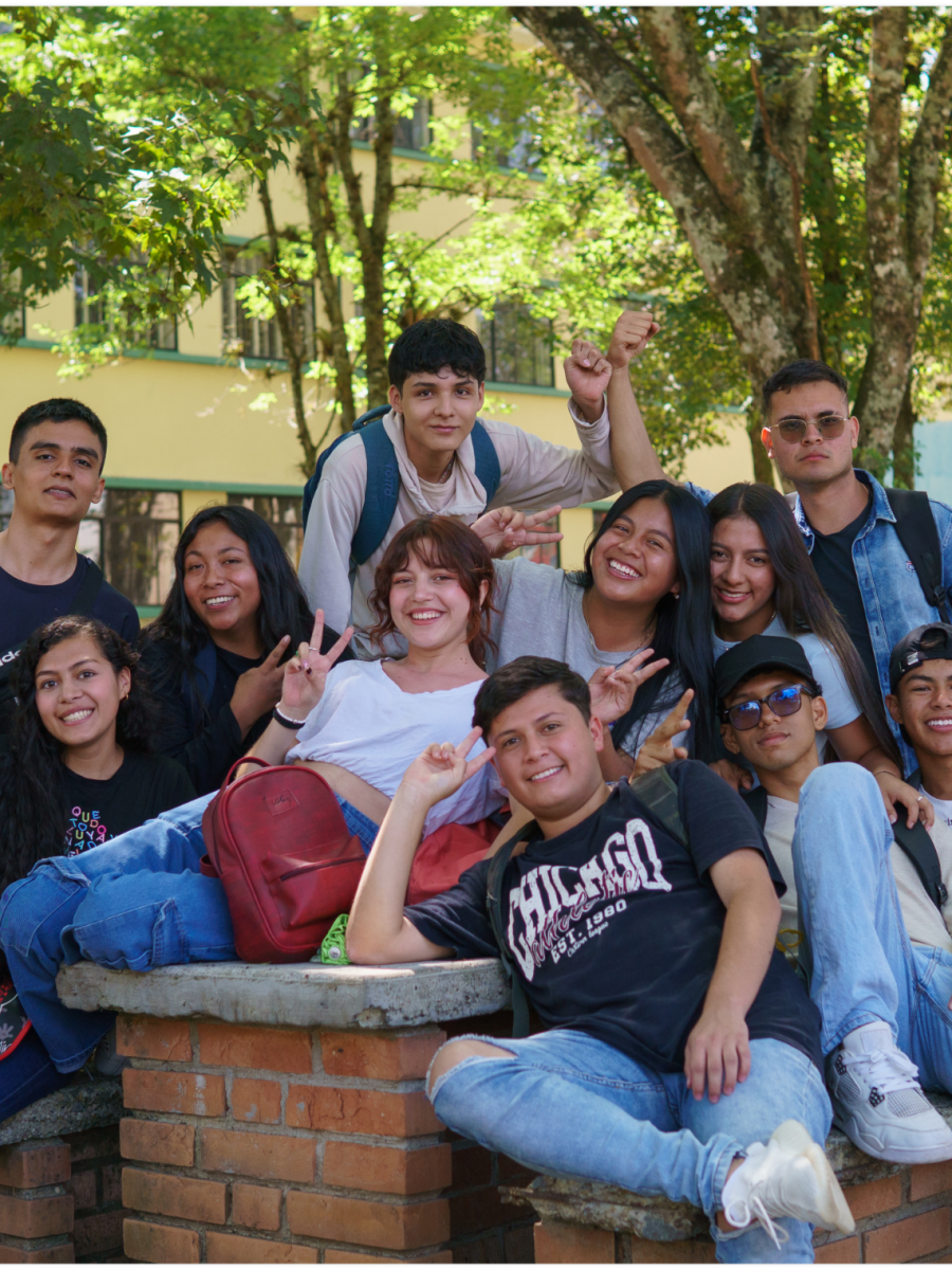 Tarjeta de acceso a Procedencia de Estudiantes Sección de Datos Abiertos Universidad del Cauca