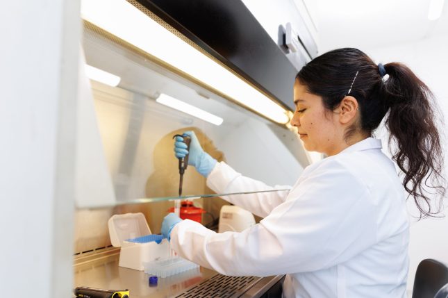 Imagen de Laboratorio de Inmunología