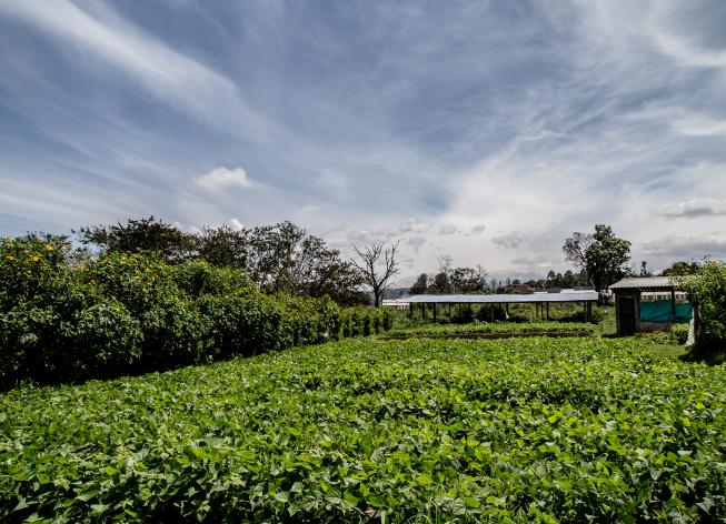Imagen Finca La Rejoya